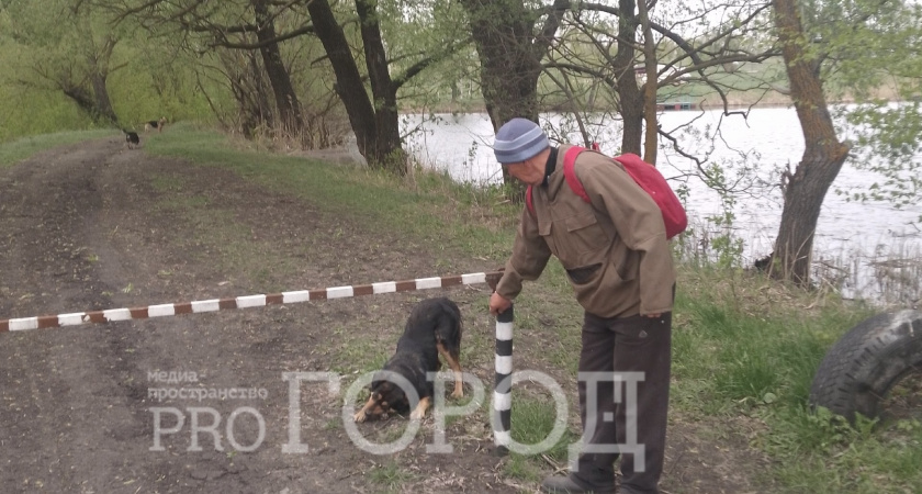 Битва за благоустройство пляжа в Заре накаляется! Пензенец отправил письмо Президенту РФ