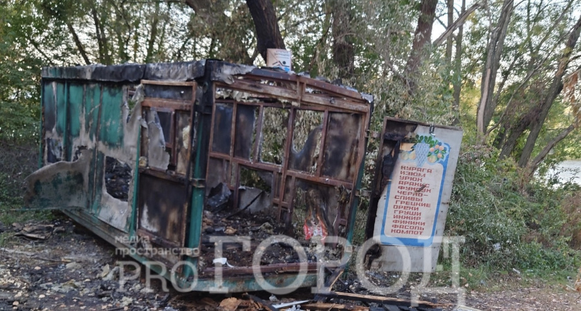 «Напоминает сцену из фильма ужасов»: во что превратился берег Суры в районе улицы Чаадаева за 10 лет
