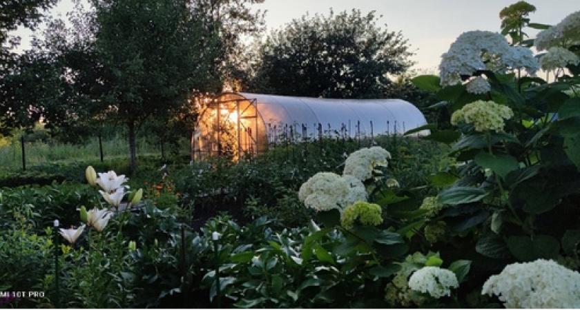 С 10 мая теплицы под запретом: приняли новое решение для всех россиян, у кого есть дача или участок, — новые штрафы