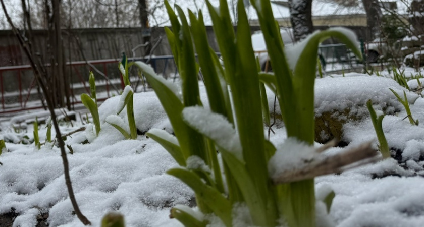 В первую неделю мая сильные заморозки: на выходных россиян ждут прерывистые ливни и холода