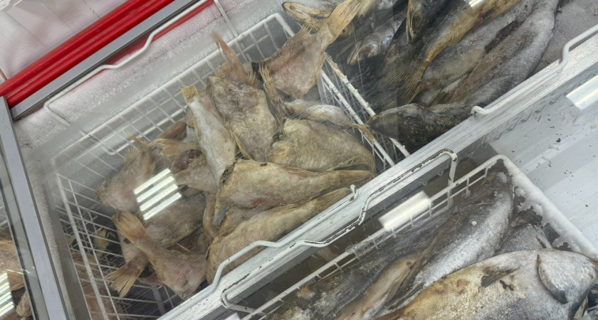 Не скумбрия, не минтай, даже не форель — пожилой кардиолог объяснил: эта рыба дарит несколько десятков лет жизни, если есть 2 раза в неделю