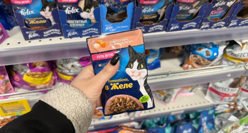 «Не травите этим кошек»: в Роскачестве озвучили самые худшие марки сухого корма для питомцев