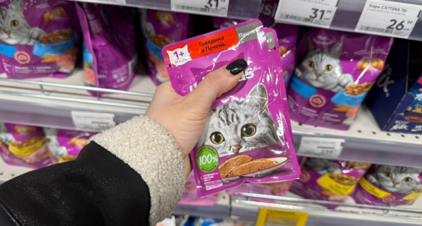 «Не травите этим своего кота»: в Роскачестве озвучили самые худшие марки корма для питомцев