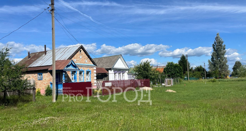 Пензенцам дали совет, как не заразиться мышиной лихорадкой