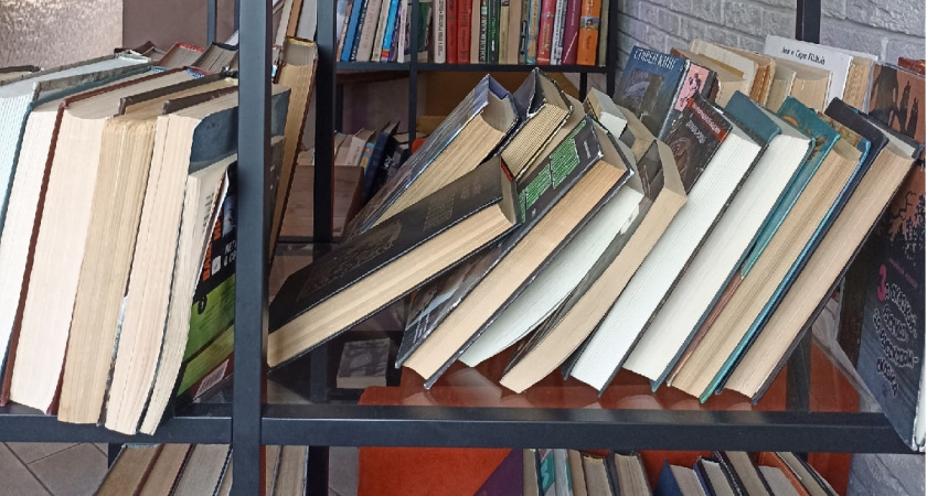 В Пензенской области продолжается обустройство модельных библиотек в рамках нацпроекта