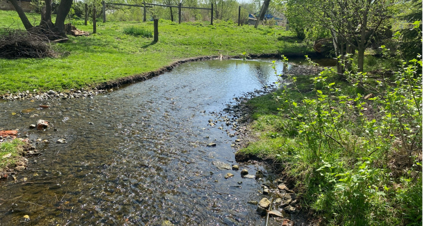 Региональный Минлесхоз продолжает следить за безопасностью бесхозяйных ГТС