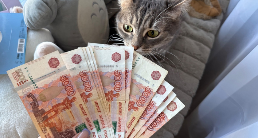 В Пензенской области стали реже находить поддельные купюры