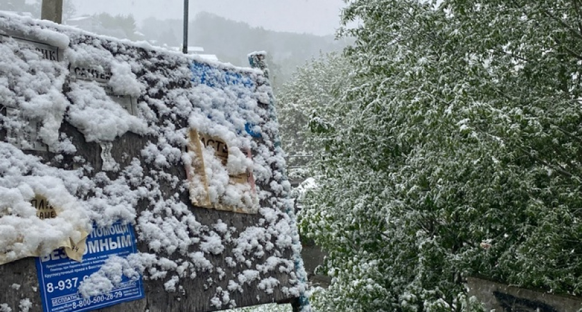 Возврат к началу весны — Вильфанд сделал заявление о погоде на 9 Мая: ночью заморозки, днём ледяной дождь