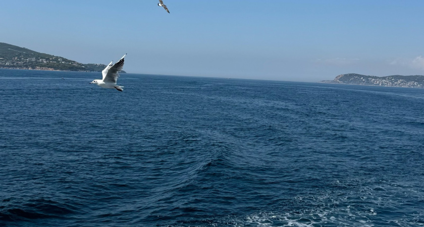 Турция больше не хит сезона, распробовала новый курорт: шикарный шведский стол за копейки — полетим на майские всей семьёй