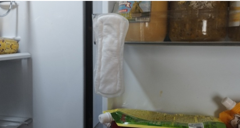 Лучше купите вату: Роскачество назвало 10 брендов ежедневных прокладок, которые  не стоит приобретать