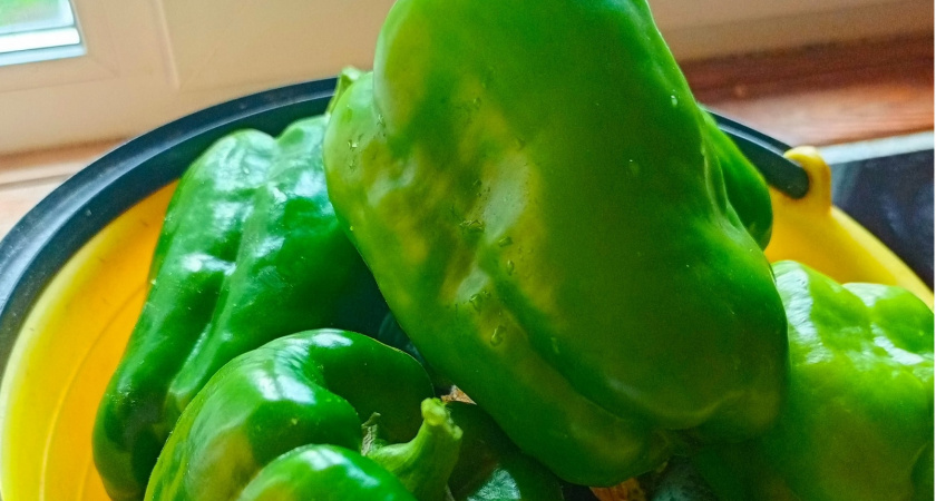 Мучился с плохим урожаем перца, пока не узнал секрет: 3 кристалла в воду — плоды толстостенные, как стакан