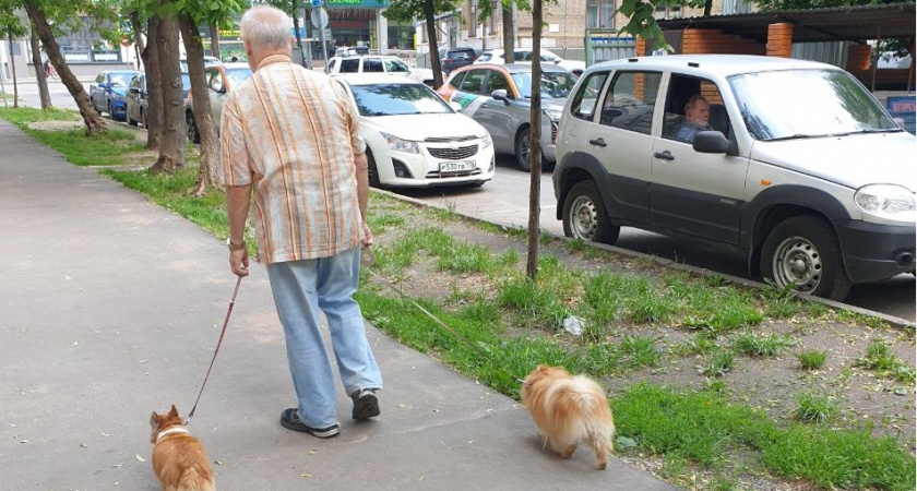 С 15 мая спокойная жизнь пенсионеров закончится: что нужно сделать пожилым