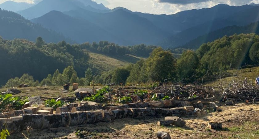 «За 20 лет ничего не поменялось: разбитый асфальт и попрошайки»: россиянин оставил честный отзыв об отдыхе в Абхазии  