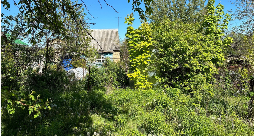 Садоводы — владельцы участков напряглись: землю начали отбирать. Какие категории россиян попали в списки 