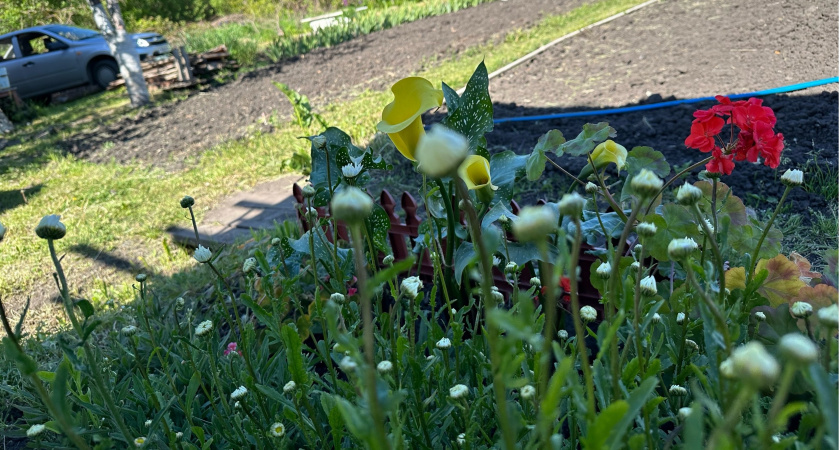 За машину на дачном участке будет штраф от 3000 до 5000 рублей: с 20 мая ввели новые правила