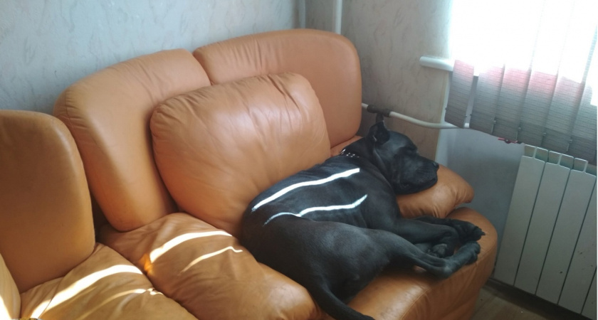 Закон готов: сразу после отключения отопления ждите штраф в 1500 рублей для квартир с батареей 