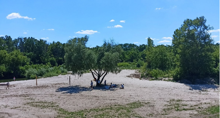 «Страдать будем все»: синоптик Роман Вильфанд назвал точную дату, когда адская жара придёт в Россию