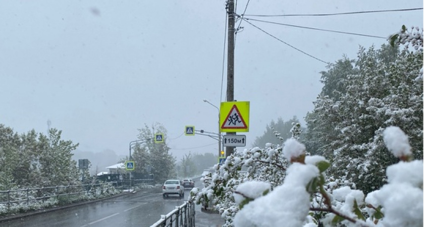 Россиян ждёт самый холодный май за последние 140 лет: учёные обновили прогноз погоды на месяц