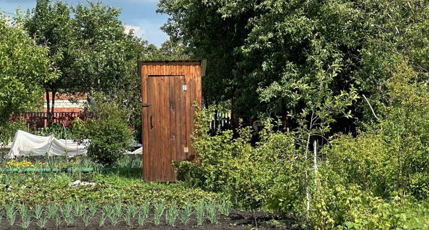 Выгребную яму больше не откачиваю: одна хитрость —  и вода уйдет сама . И ассенизатор совсем не нужен