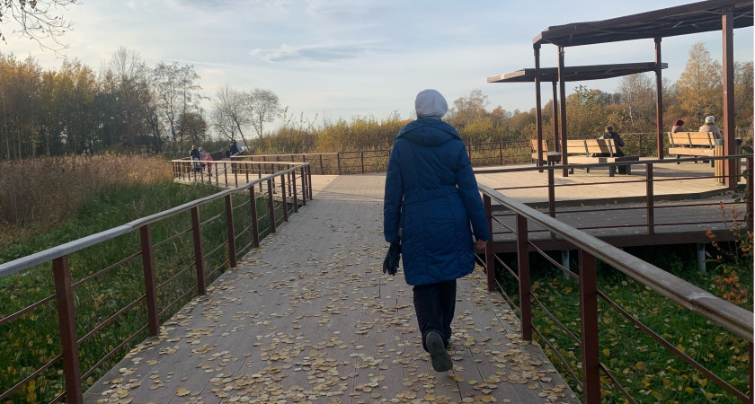 Пензенцы продолжают выбирать зону отдыха, которая будет благоустроена в 2026 году