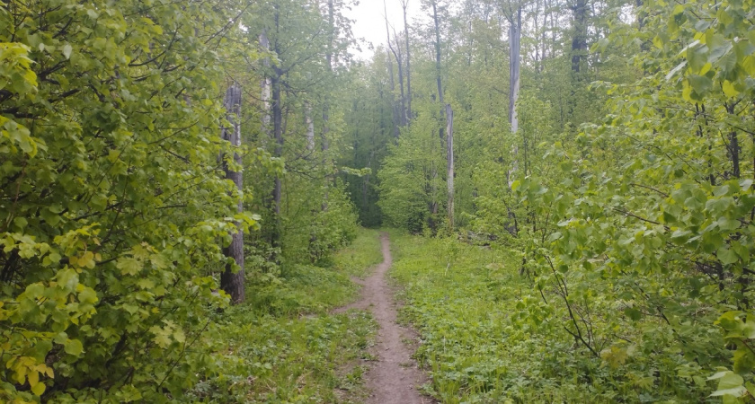 650 жителей области пострадали от клещей