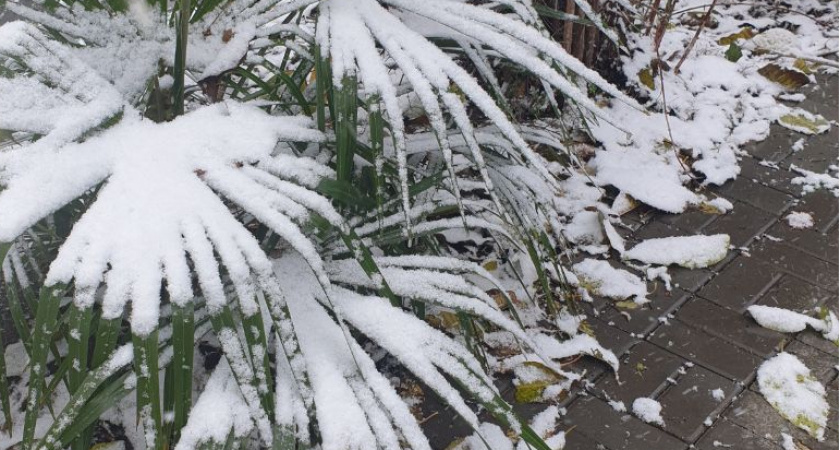 Самый холодный день: Вильфанд прогнозирует сильные ливни и ещё заморозки в мае