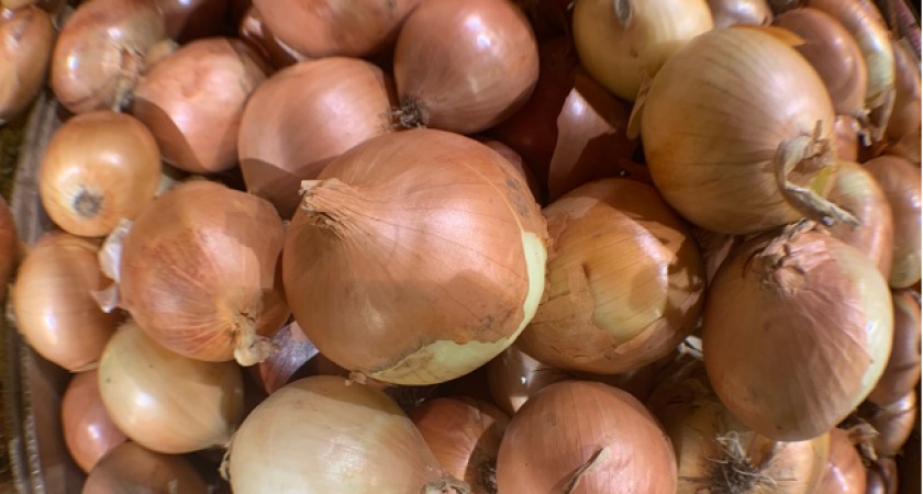 Всю зиму собираю шелуху от лука: вот зачем она нужна на кухне — запомните раз и навсегда