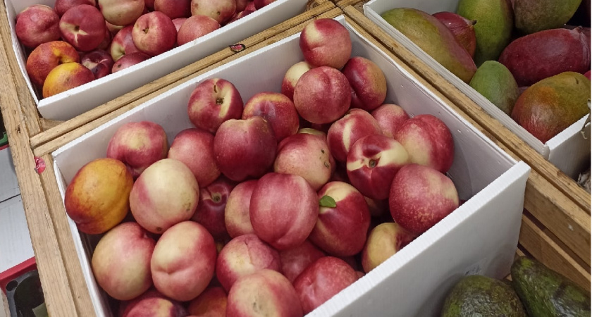 Учёные определили самый полезный фрукт: не яблоко, не банан и в два раза полезнее всех цитрусовых