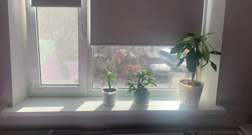 Лавровый лист засыпаю солью — всё лето радуюсь своей хитрости: лайфхак-помощник всех домохозяек