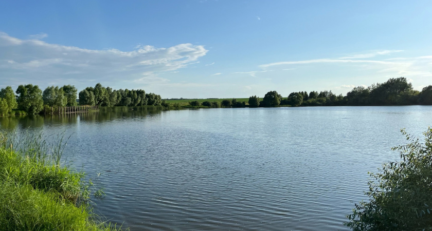 Пруды в Заречном осмотрел специалист по содержанию водоемов