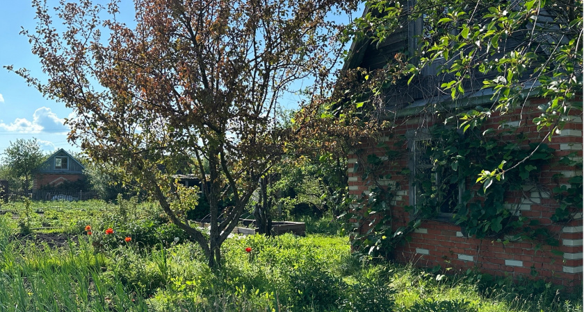 Теперь на даче полностью запрещено оставаться с ночёвкой — иначе штраф: вот как дачники справляются с такими ограничениями