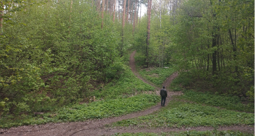 Пожарные напомнили о действии особого противопожарного режима на территории региона