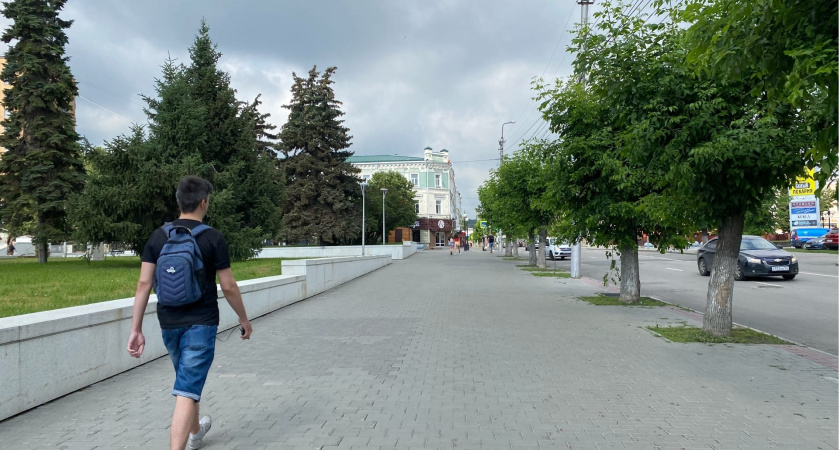 Деревьям в Пензе угрожает ясеневая златка