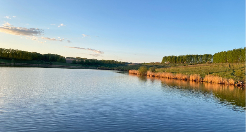 Глава Пензы определил меры по обеспечению безопасности граждан во время отдыха у водоемов