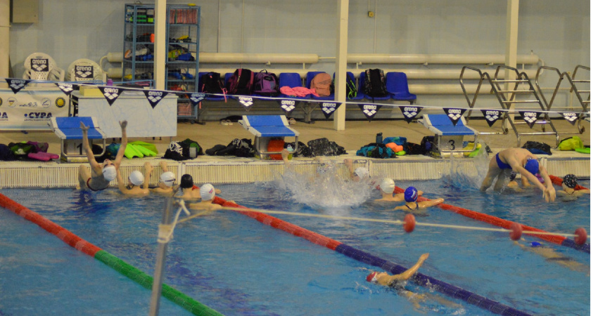 В Пензе продолжаются соревнования в рамках Первенства России по прыжкам в воду