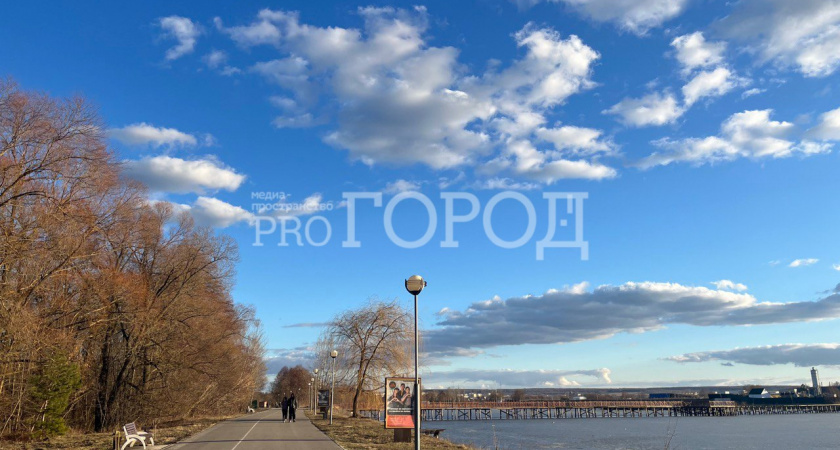 В Пензенской области найдены водоемы с опасными бактериями 