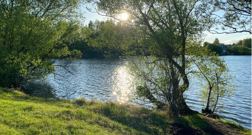 В Пензенской области 9 проб воды не прошли проверку Роспотребнадзора