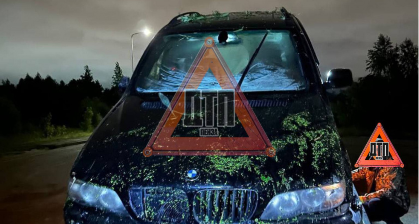 В Пензе 17-летний водитель «BMW» утопил свой транспорт в реке