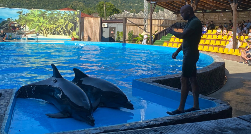 С маленькими деньгами там делать уже нечего: в Абхазии больше не ждут туристов с небольшим бюджетом — райский уголок жутко подорожал  