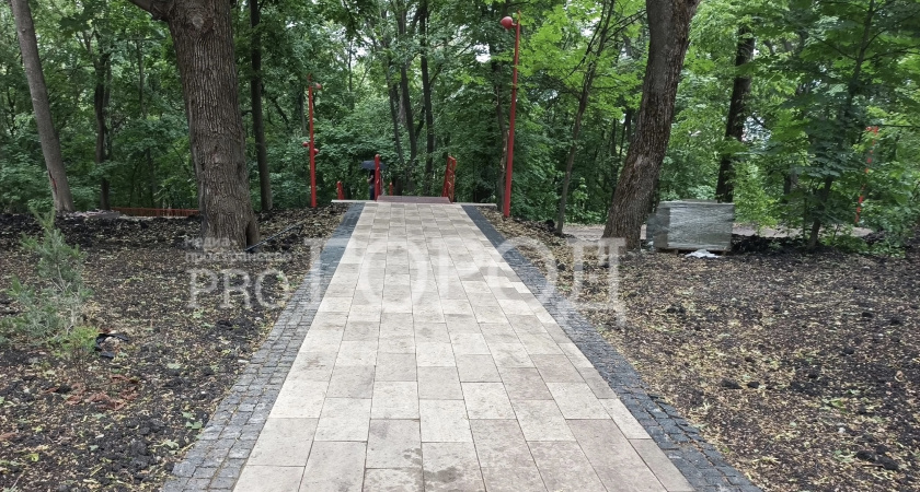 Пензенцы посчитали несправедливым включать в голосование за благоустройство парк Белинского