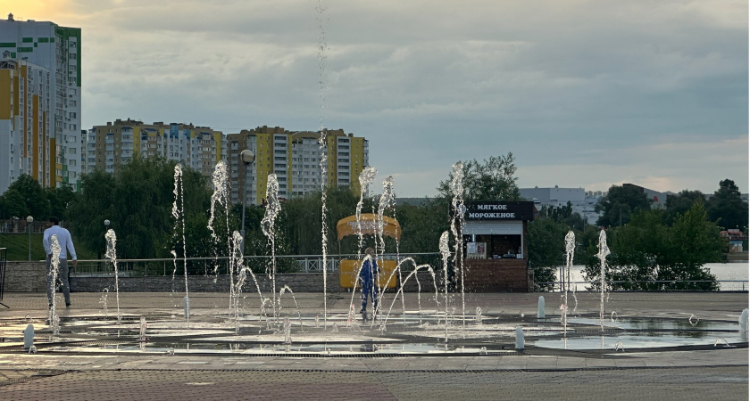 На прошлой неделе в ЦУР Пензенской области поступило 1 362 жалобы