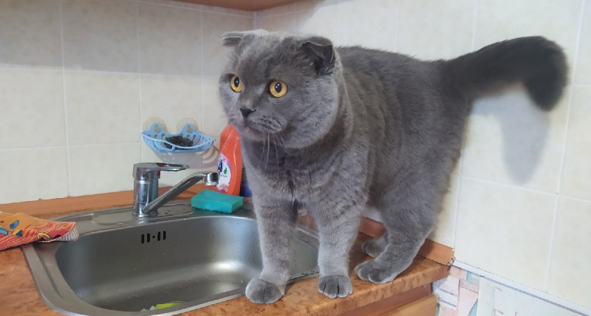 Олег Мельниченко рассказал об обновлении системы водоснабжения в регионе