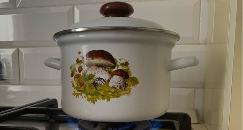 Яд в бульоне: врач рассказала, из каких съедобных грибов не стоит варить суп — запомните раз и навсегда