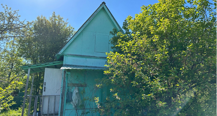 Без корчевания: впрыснул жидкость в ствол — корни засохли сразу — легче способа убрать дерево нет