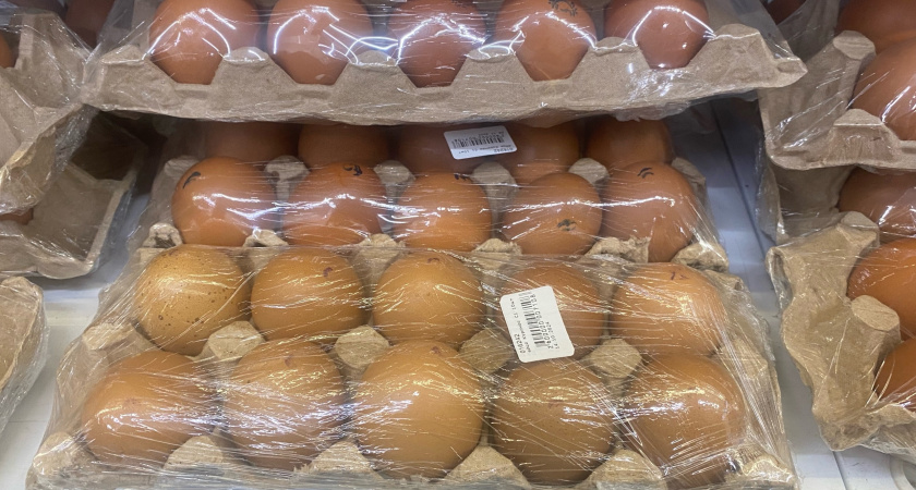 Работники птицефабрик никогда не покупают яйца в магазинах категории СО: вот почему стоит их обходить стороной. Запомните навсегда