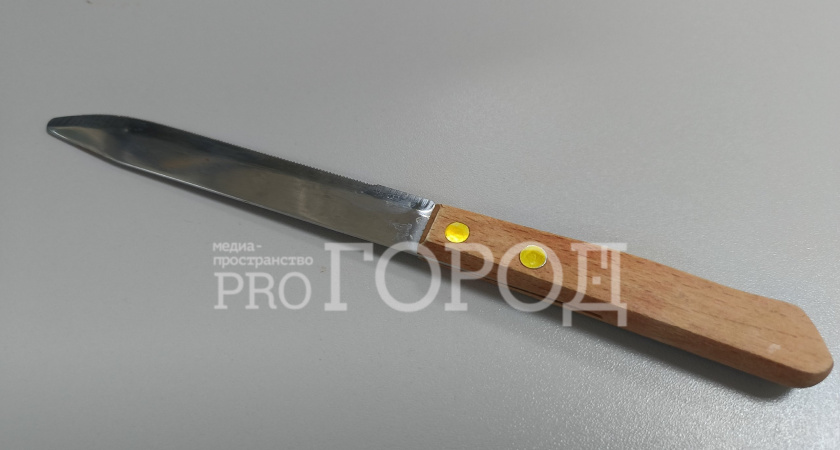 В Шемышейском районе разгневанный отец напал с ножом на дочь 