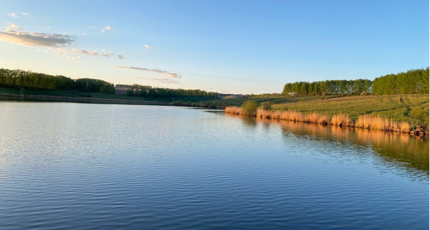 Берег Сурского водохранилища очистили от 3 кубометров мусора