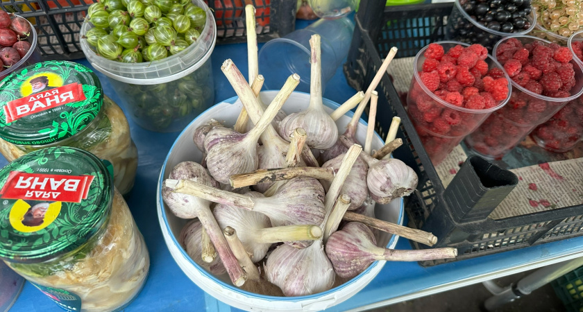 3 правила для лежкости чеснока: проверено - при других методах у нас чеснок не хранится