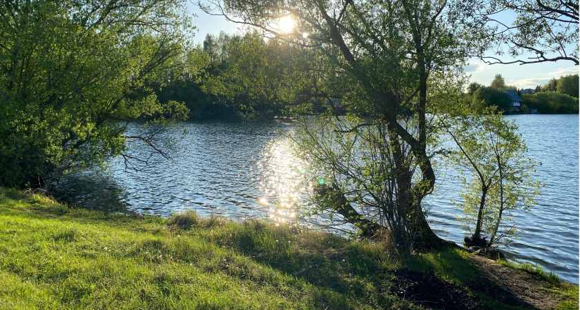 Участниками акции «Вода России» стали более 1,8 тысяч пензенцев