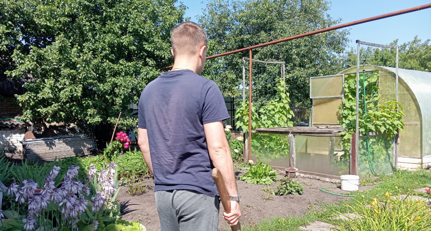 Только прожив 3 года в деревне, поняли, что тут нужно зарабатывать совсем не сельским хозяйством - такие суммы в городе нам только снились